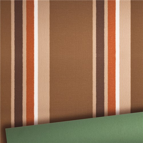 BARRINGTON JUBILEE STRIPE GREEN BACK CANVAS Ricky Richards Ricky